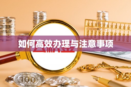 罗平如何高效办理与注意事项