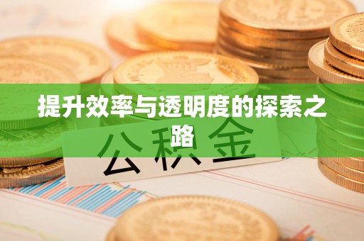 罗平提升效率与透明度的探索之路