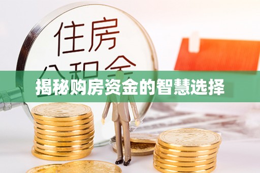 罗平揭秘购房资金的智慧选择