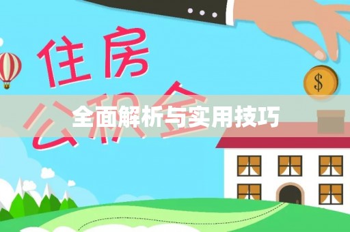 罗平全面解析与实用技巧