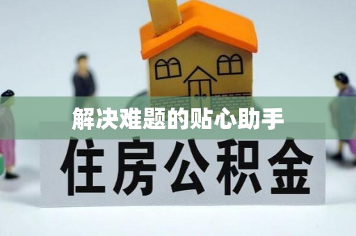 罗平解决难题的贴心助手