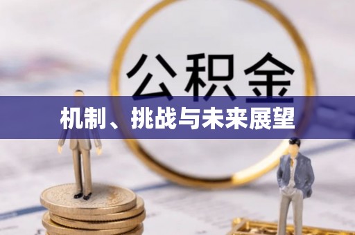 罗平机制、挑战与未来展望