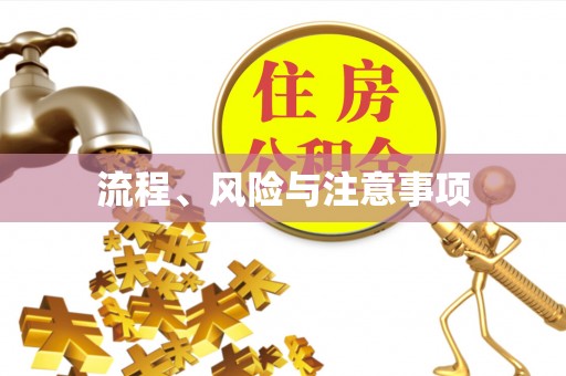 罗平流程、风险与注意事项